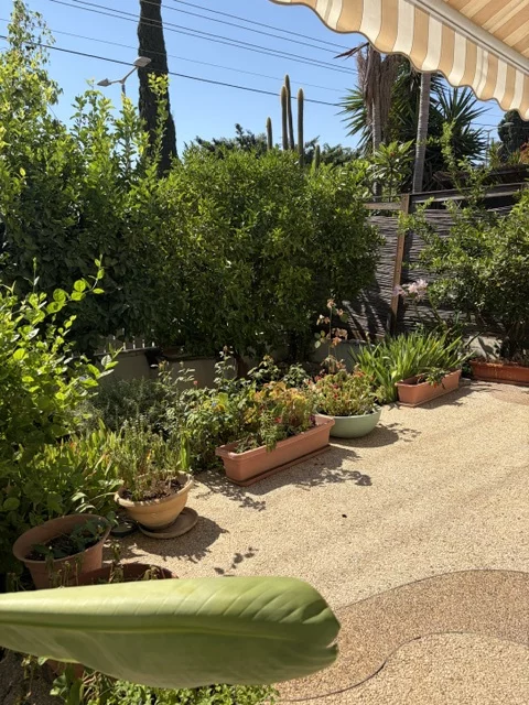 Grande villa de 5 pièces à louer, dans un quartier calme de Raanana